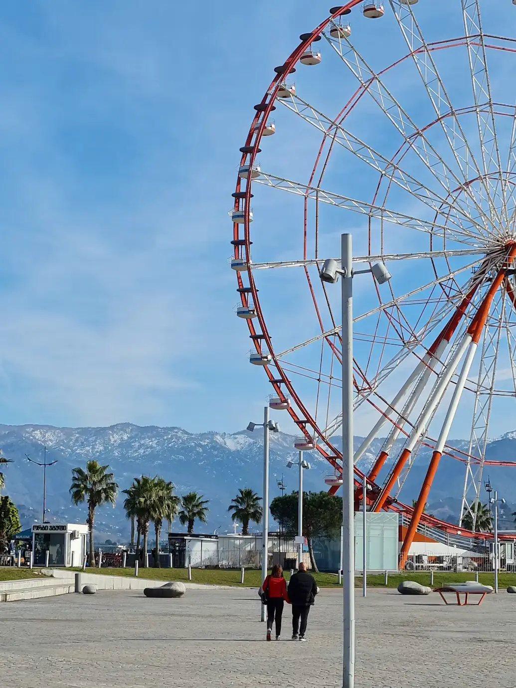 Large Ferris wheel near a waterfront promenade with palm trees and snow-capped mountains in the background.