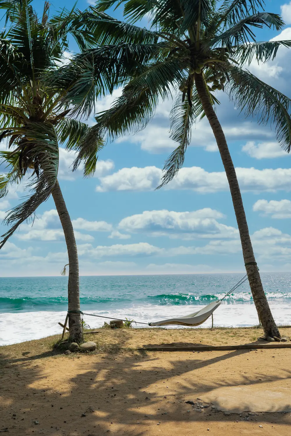 Hammock strung between palm trees on a tropical sandy beach overlooking the ocean in Sri Lanka.