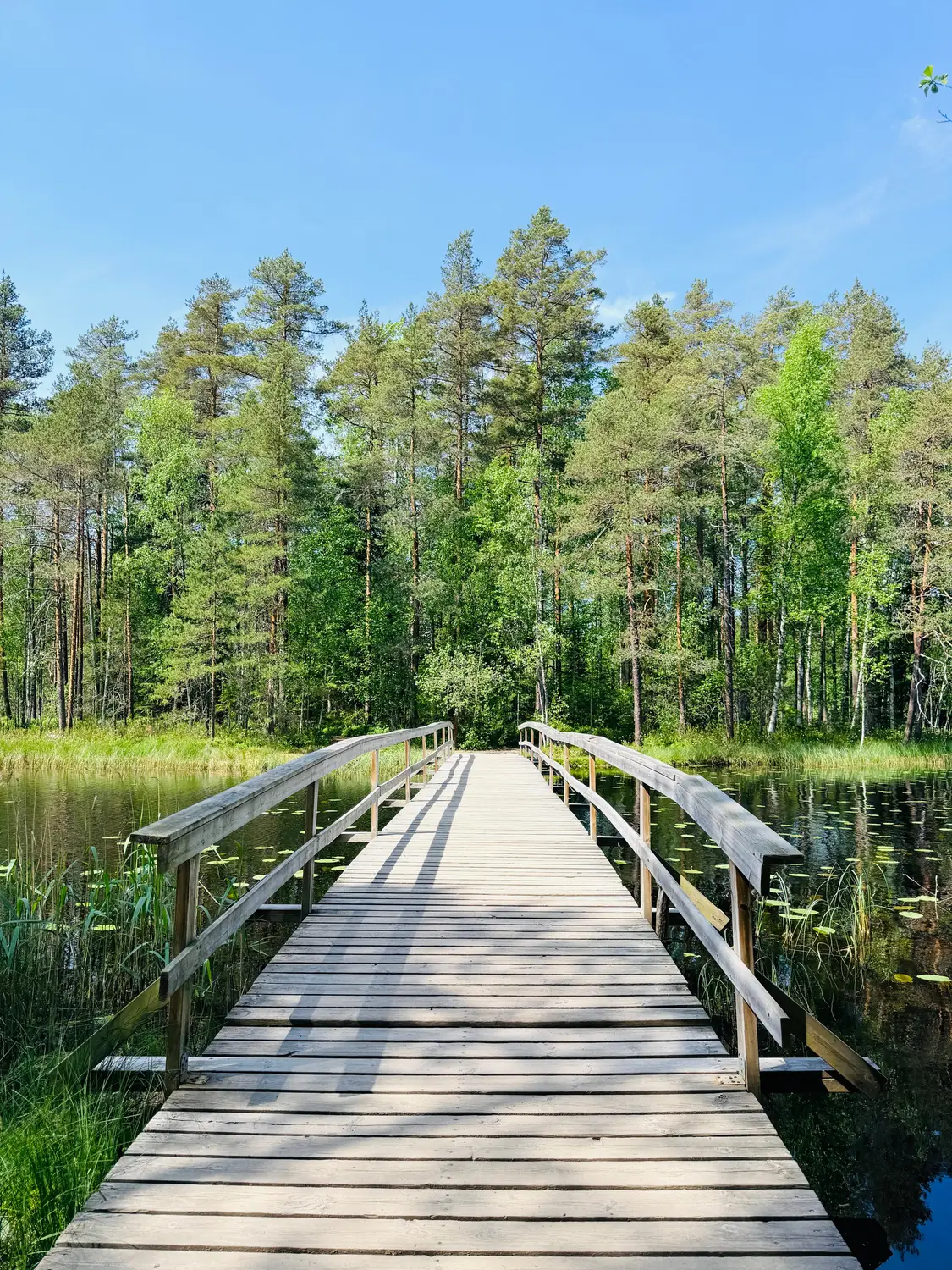 Sweden calling? We go above and beyond to make sure your trip stays golden.