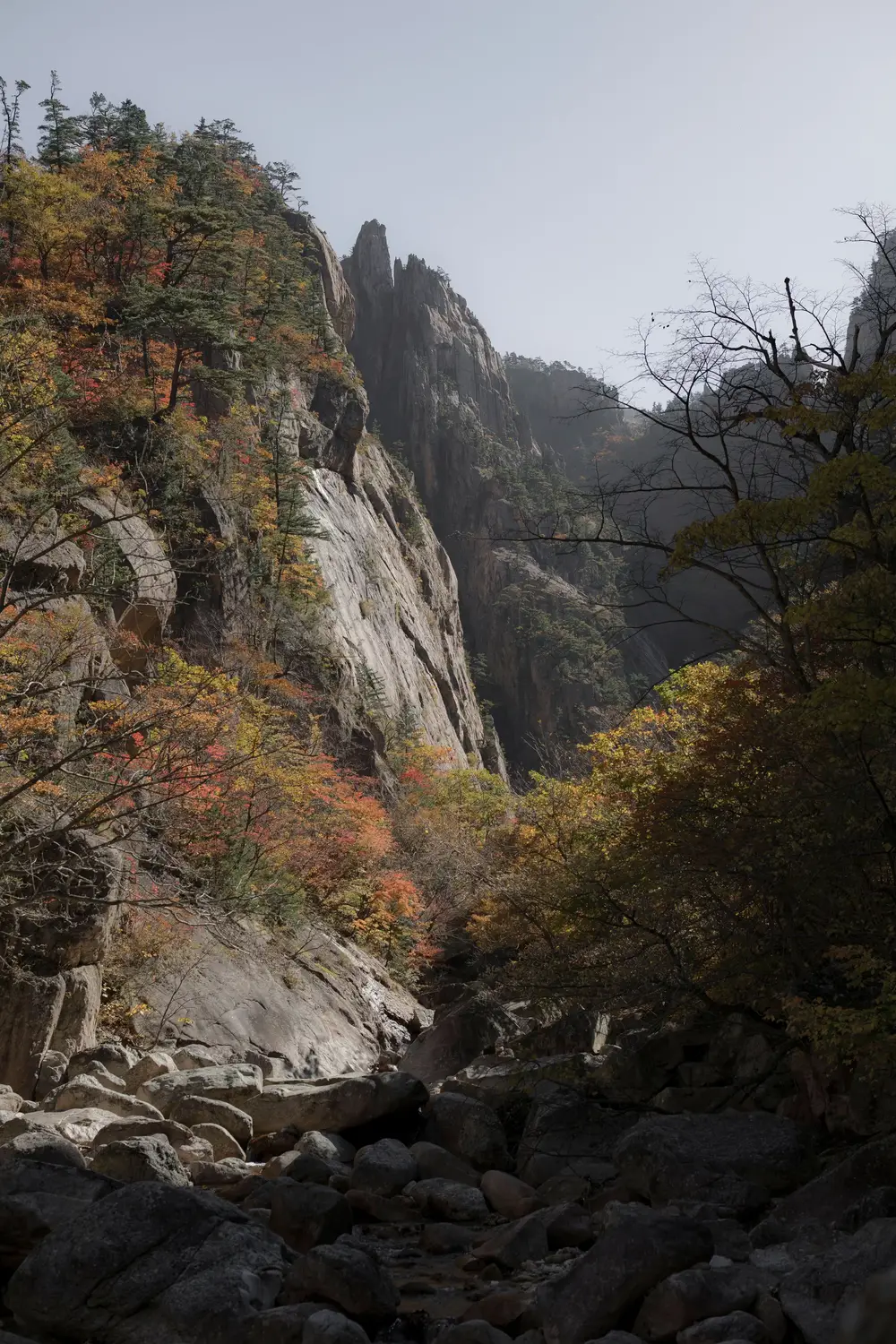 Rugged granite cliffs and peaks of Seoraksan National Park surrounded by autumn foliage, with a rocky stream in the valley below.