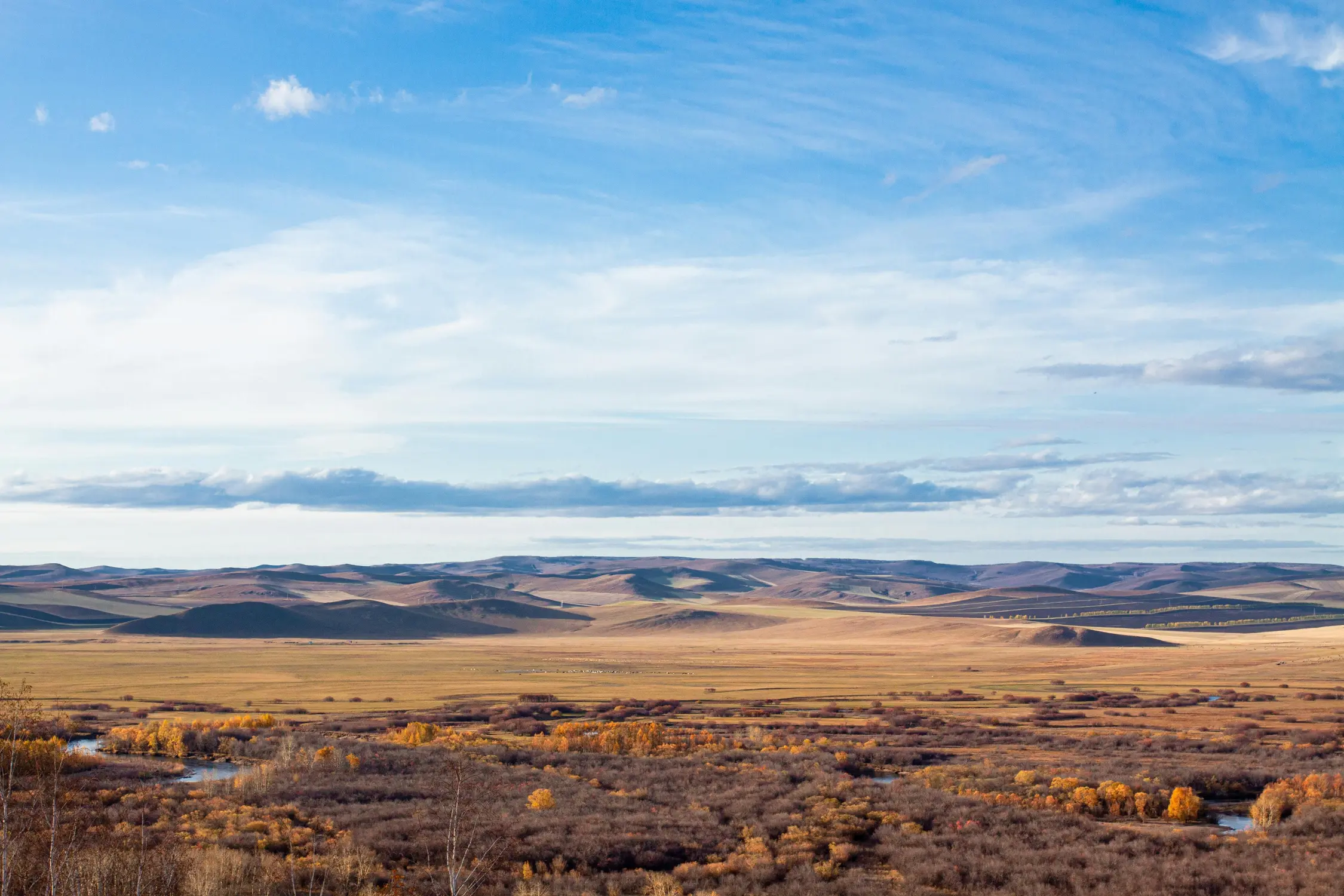 Vast golden Mongolian steppe stretching to rolling hills under a wide blue sky with autumn foliage along a winding river