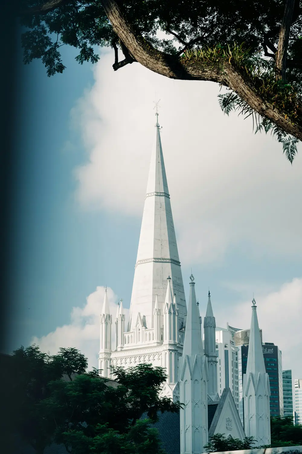 Saint Andrew's Cathedral white Gothic spire surrounded by tropical trees Singapore