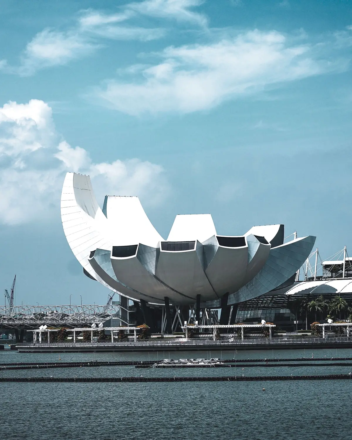 ArtScience Museum lotus-shaped white building on waterfront at Marina Bay Singapore under blue sky