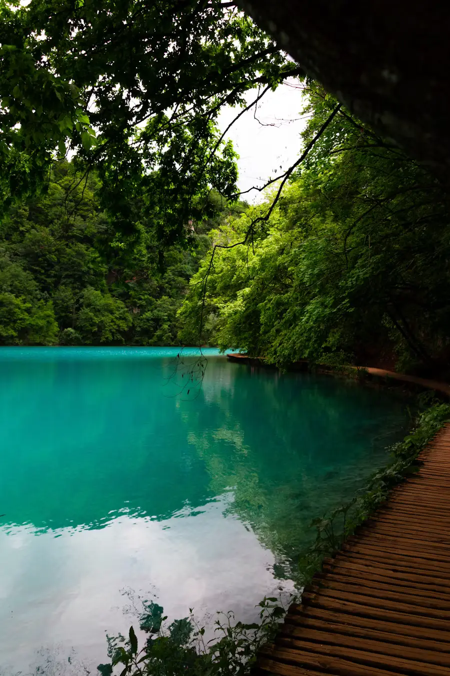 Turquoise pool fed by a small waterfall in a lush green forest, with a wooden boardwalk along the bank.