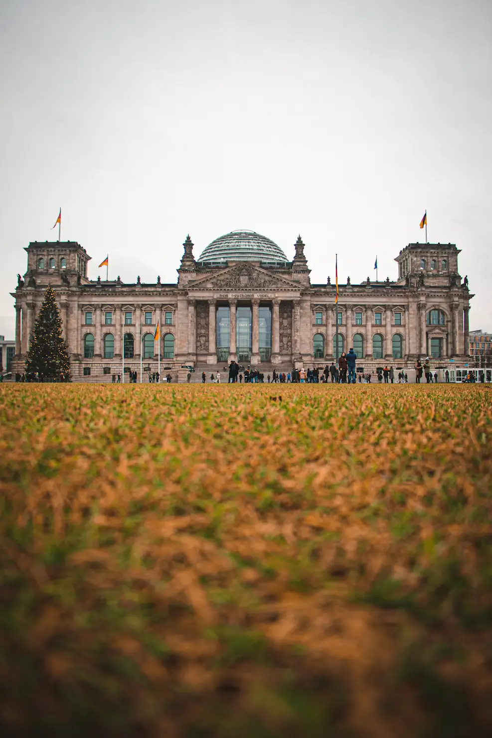 Reichstag building in Berlin viewed across a golden grass field