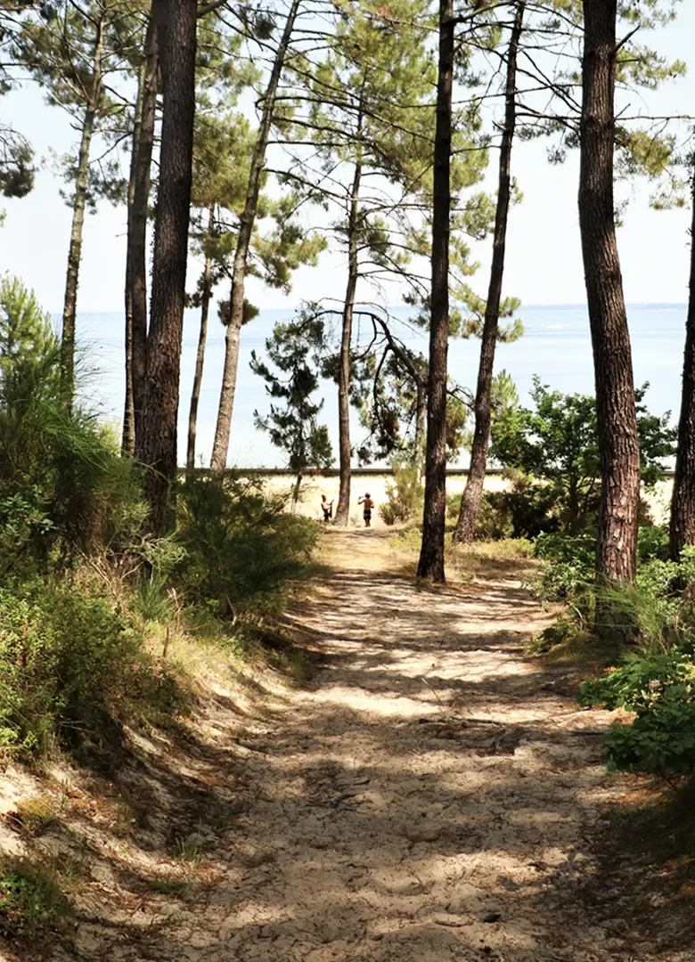 Que faire dans les Landes le temps d’un week-end ?