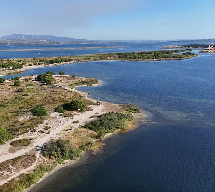 Le parc des Dosses au Barcarès : balade nature entre étang et Méditerranée