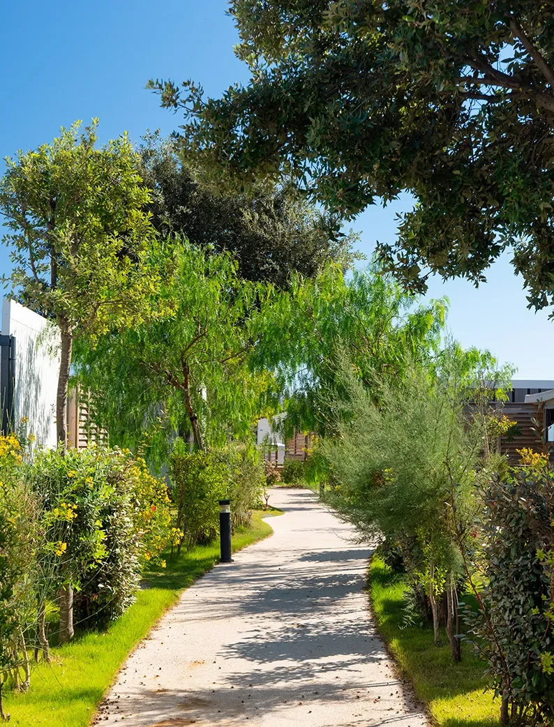 Allée verdoyante au Camping Club La Côte des Roses, camping pour personnes handicapées.