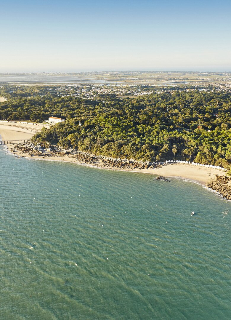 Les réserves naturelles de Vendée