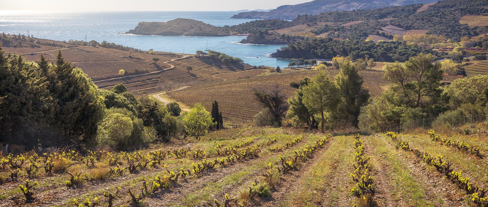 L'Anse de Paulilles : le trésor naturel et culturel du Roussillon