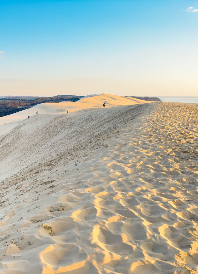 Visitez la dune du Pilat !