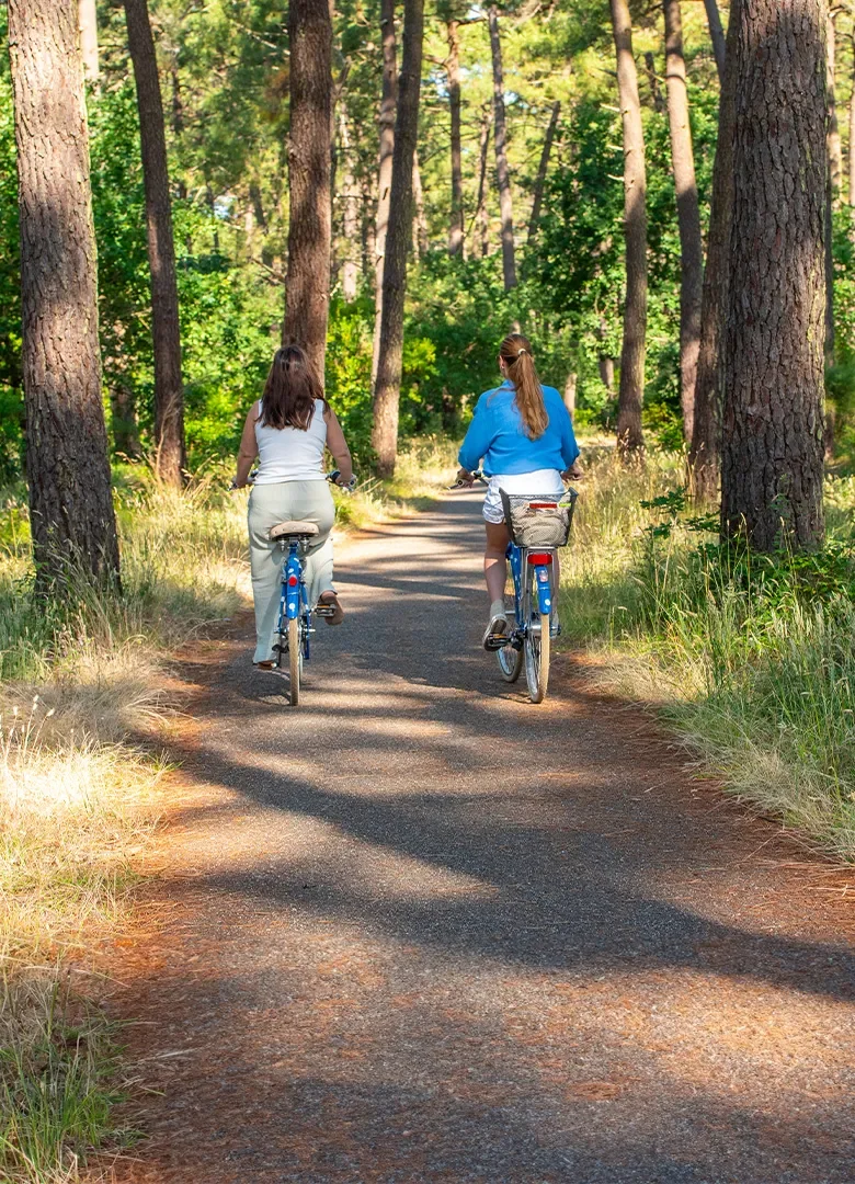 Camping et vélo : vivez vos vacances à deux roues
