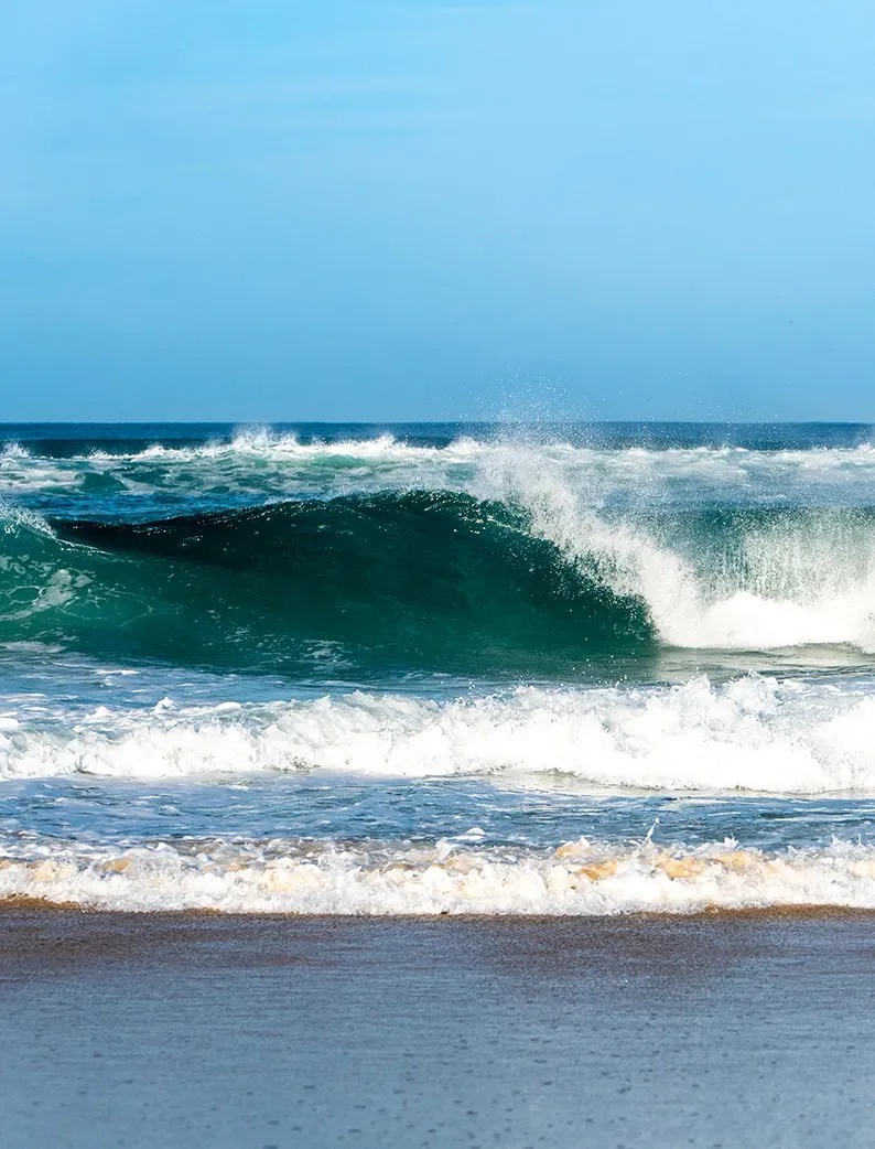 Vague déferlant sur un spot de surf près des Campings MS Vacances à Biscarrosse.