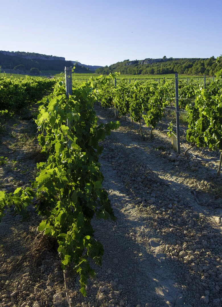 Les randonnées dans l'Aude