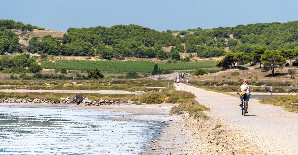 Cycliste sur un chemin au cœur des marais salants de Gruissan, dans l'Aude.