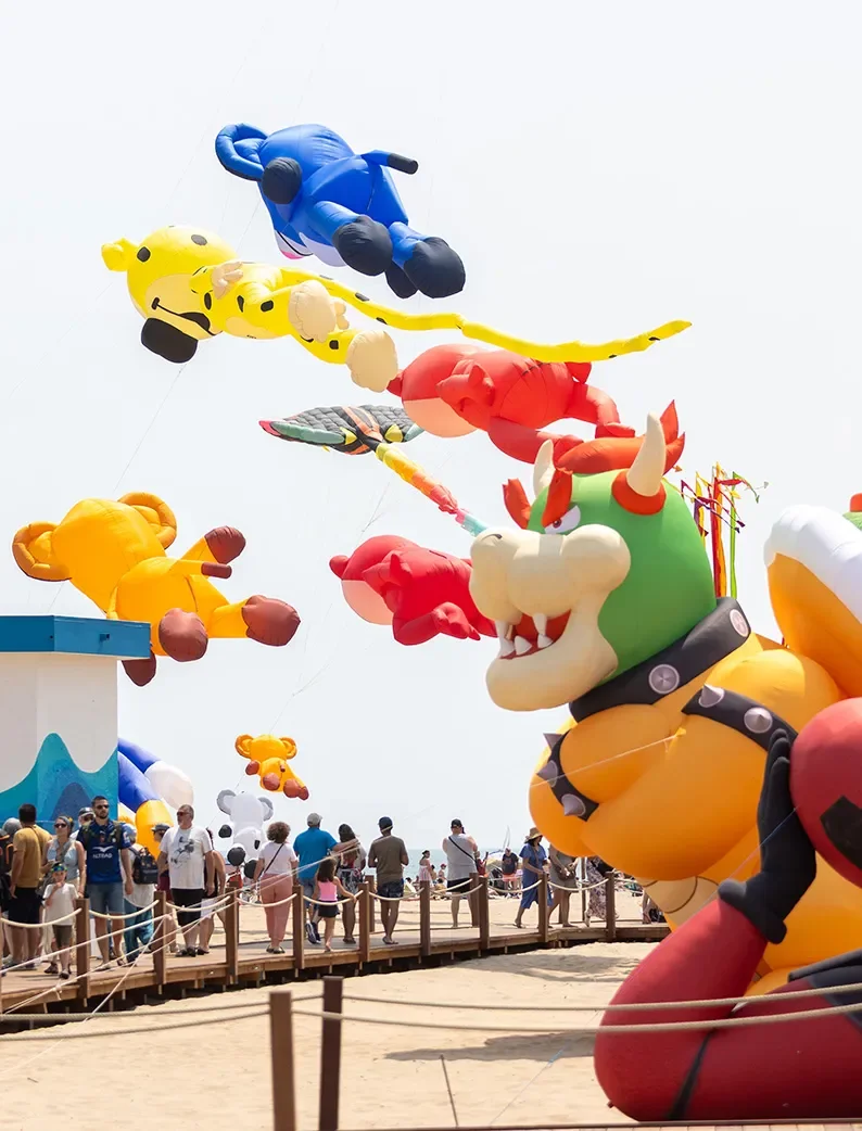 Cerfs-volants géants et personnages en sculptures de paille, lors du festival de cerf-volant de Narbonne Plage.