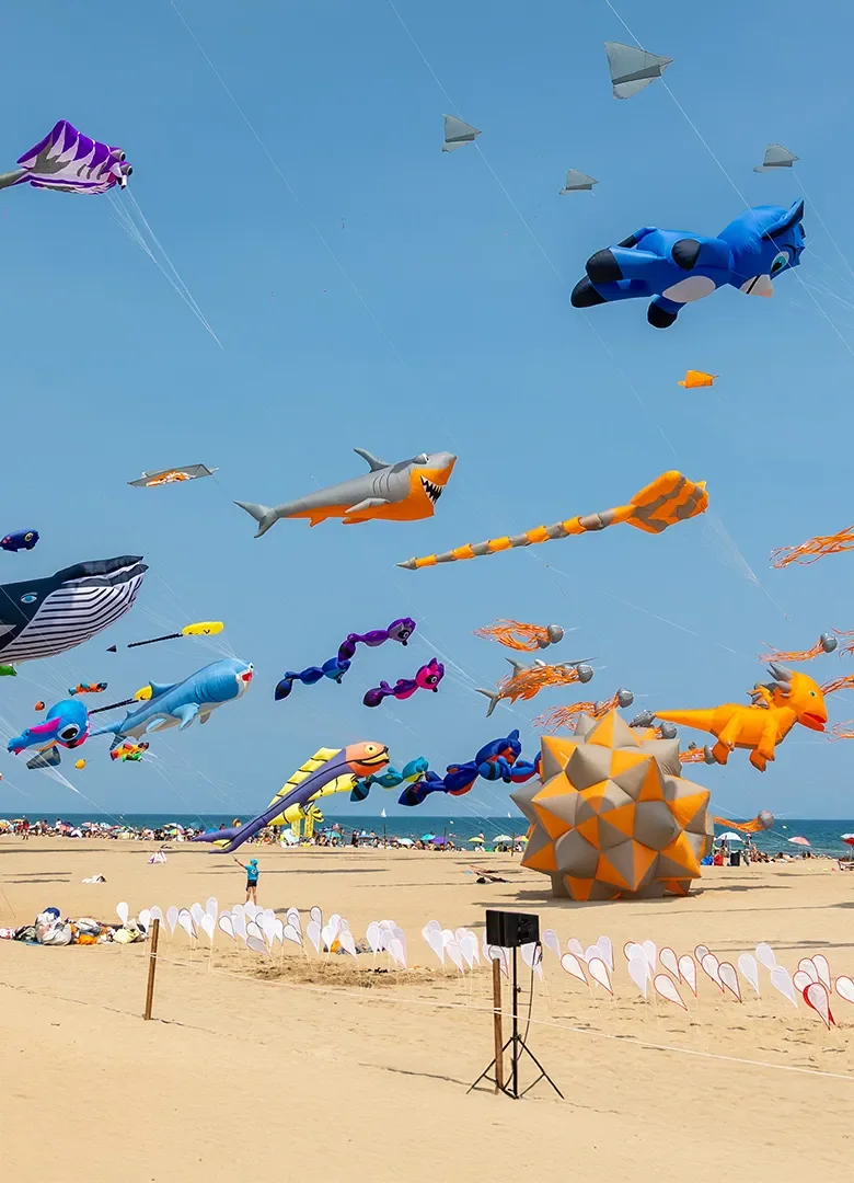 Festival de cerfs-volants à Narbonne-Plage : Les Natur’Ailes