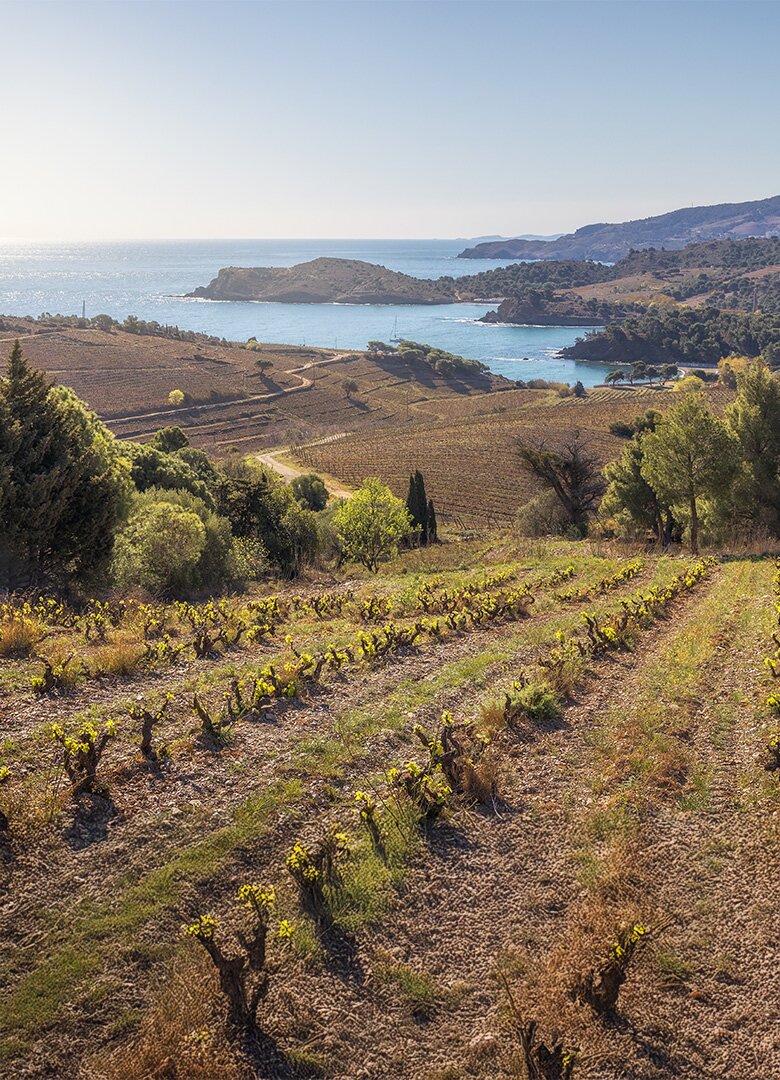 L'Anse de Paulilles : le trésor naturel et culturel du Roussillon
