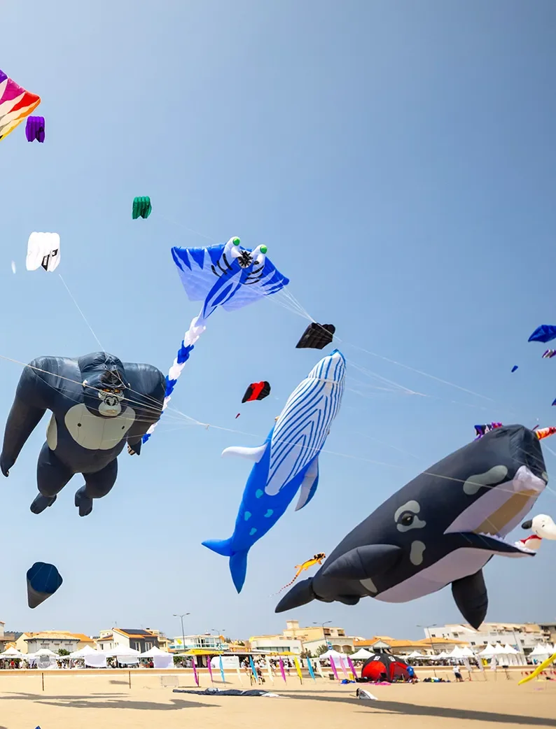 Gros plan sur des cerfs-volants géants représentant des animaux, flottant au-dessus de la plage pendant le festival Les Natur’Ailes à Narbonne.