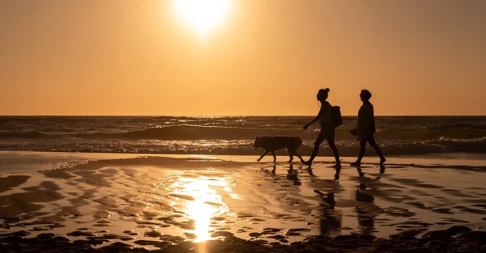 Promenade au coucher du soleil d'un couple avec leur chien sur une plage de Biscarrosse acceptant les animaux.