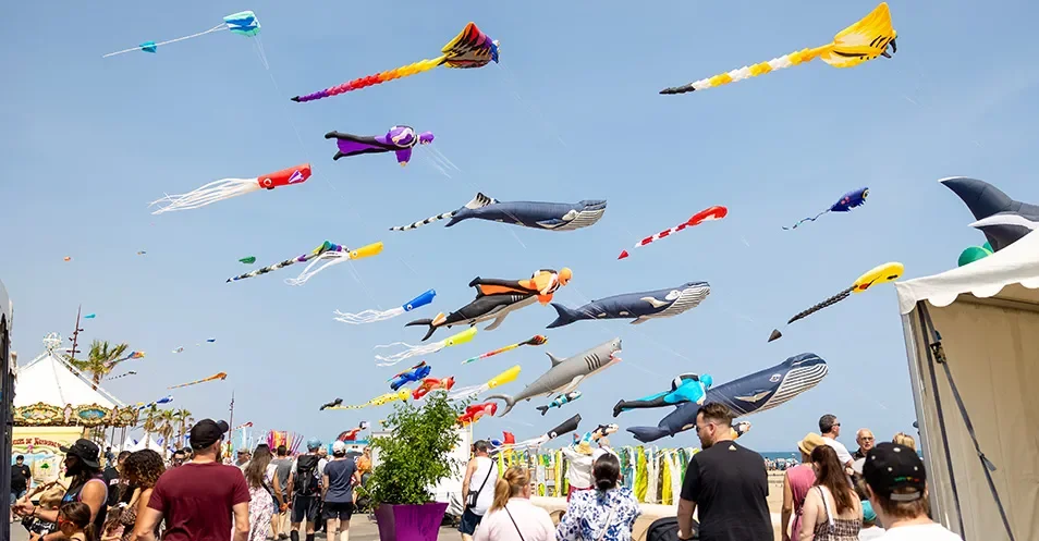 Familles et enfants profitant du festival des Natur’Ailes sur l’esplanade de Narbonne-Plage, entourés de palmiers et de cerfs-volants flottant au-dessus de la mer.