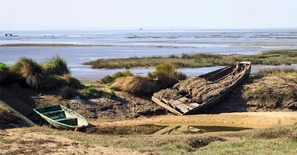 Vue du prés salés d’Arès près du bassin d'Arcachon.