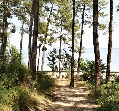 Que faire dans les Landes le temps d’un week-end ?