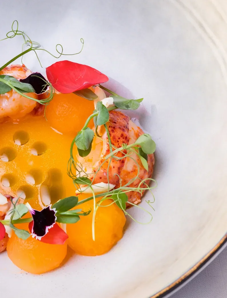 Plat du restaurant étoilé dans l'Aude : Le puits du Trésor.