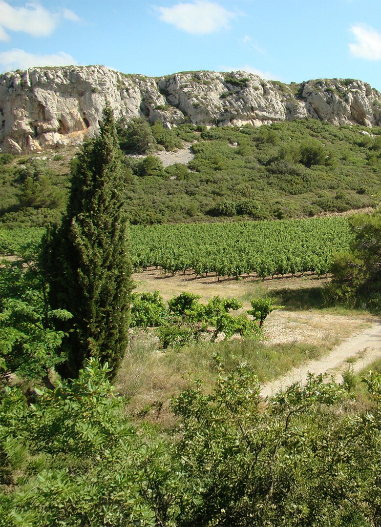 Partez à la découverte du Massif de la Clape