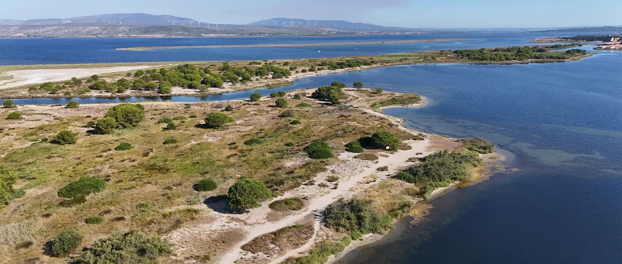 Le parc des Dosses au Barcarès : balade nature entre étang et Méditerranée