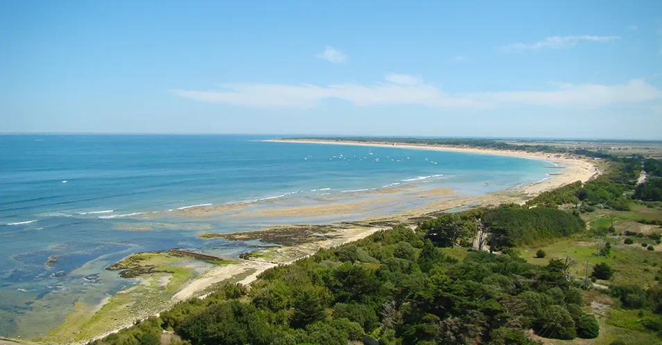 Lodges installées sous le ciel bleu et de grands pins au Camping Plage Sud 4 étoiles.