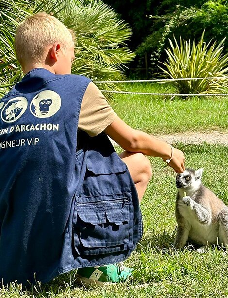 Un soigneur d'un jour partage un moment avec un lémurien au Zoo de La Teste.