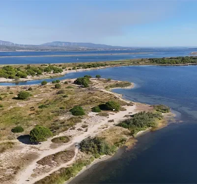 Le parc des Dosses au Barcarès : balade nature entre étang et Méditerranée