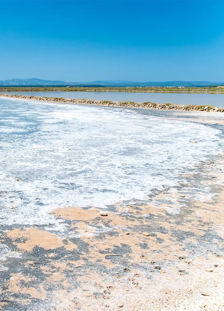 Les salins de l'Aude : sel et flamants roses près de Narbonne