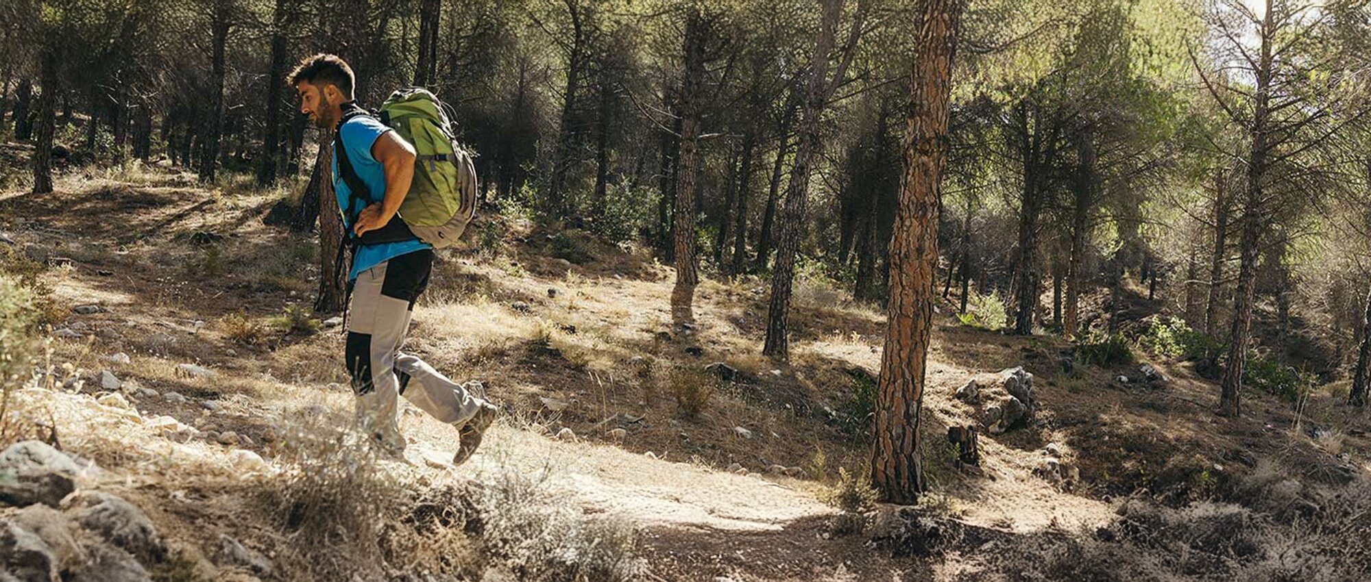 Pourquoi partir en randonnée dans les Landes pendant votre séjour en camping ?