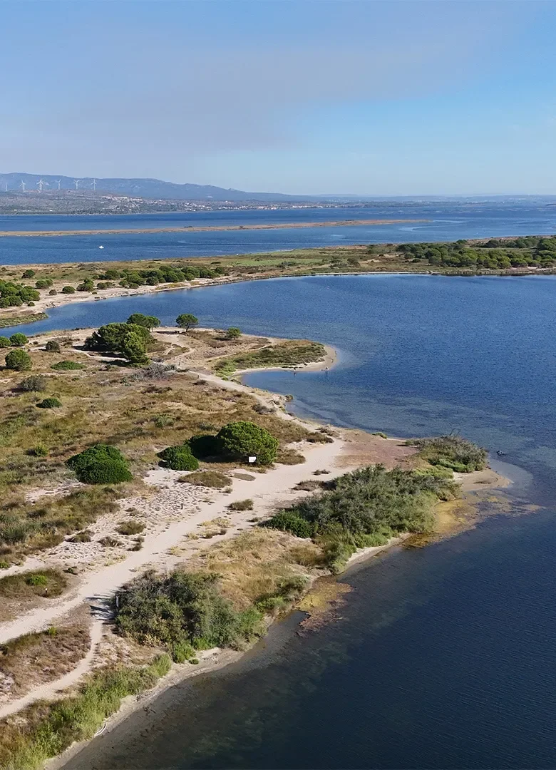 Le parc des Dosses au Barcarès : balade nature entre étang et Méditerranée