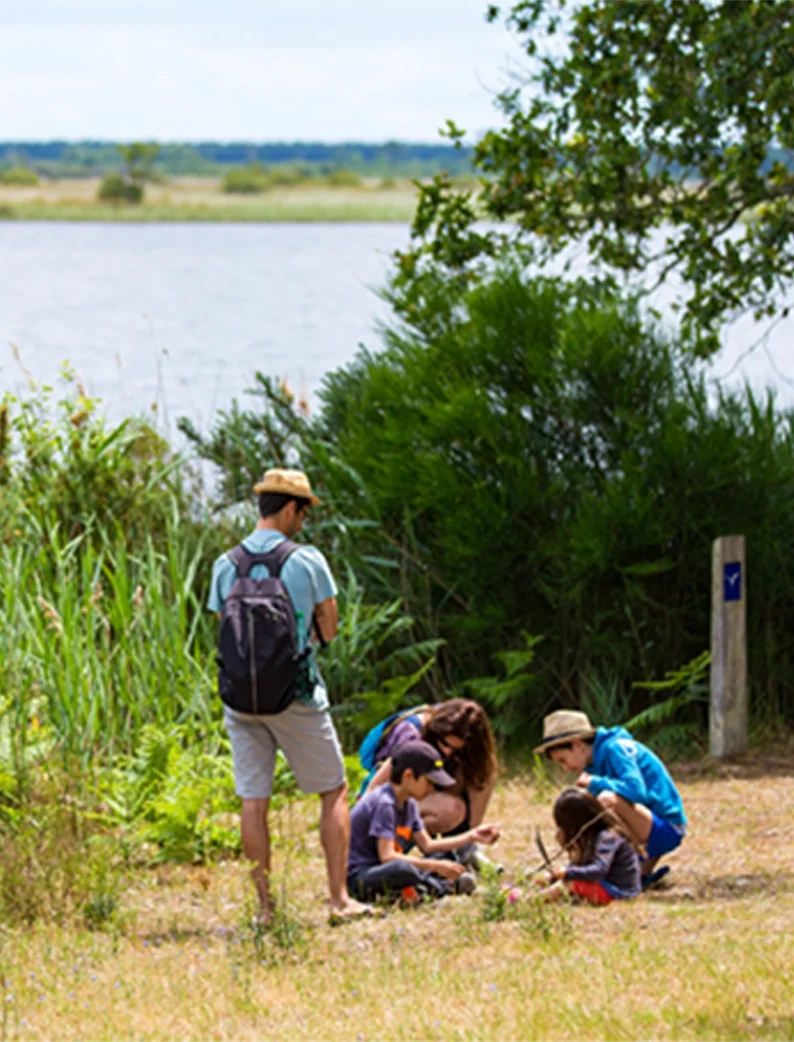 Famille observant la nature près du lac d'Hourtin en Gironde.