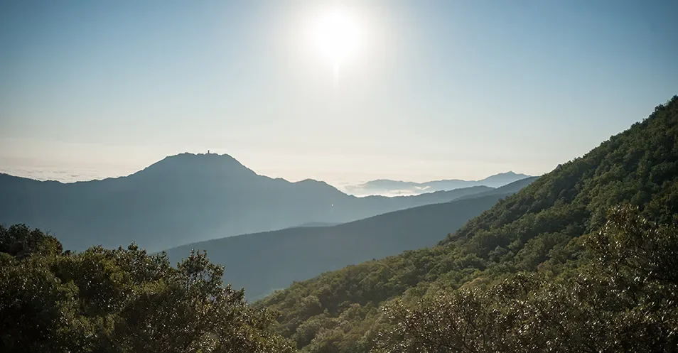 Le massif des Albères, à admirer pendant vos vacances à Argelès-sur-Mer, baignées de lumière avec une mer de nuages dans la vallée.