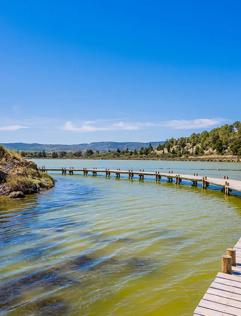 Passerelle sur pilotis sur les salins de Payriac-sur-Mer au cœur d'un paysage naturel préservé.