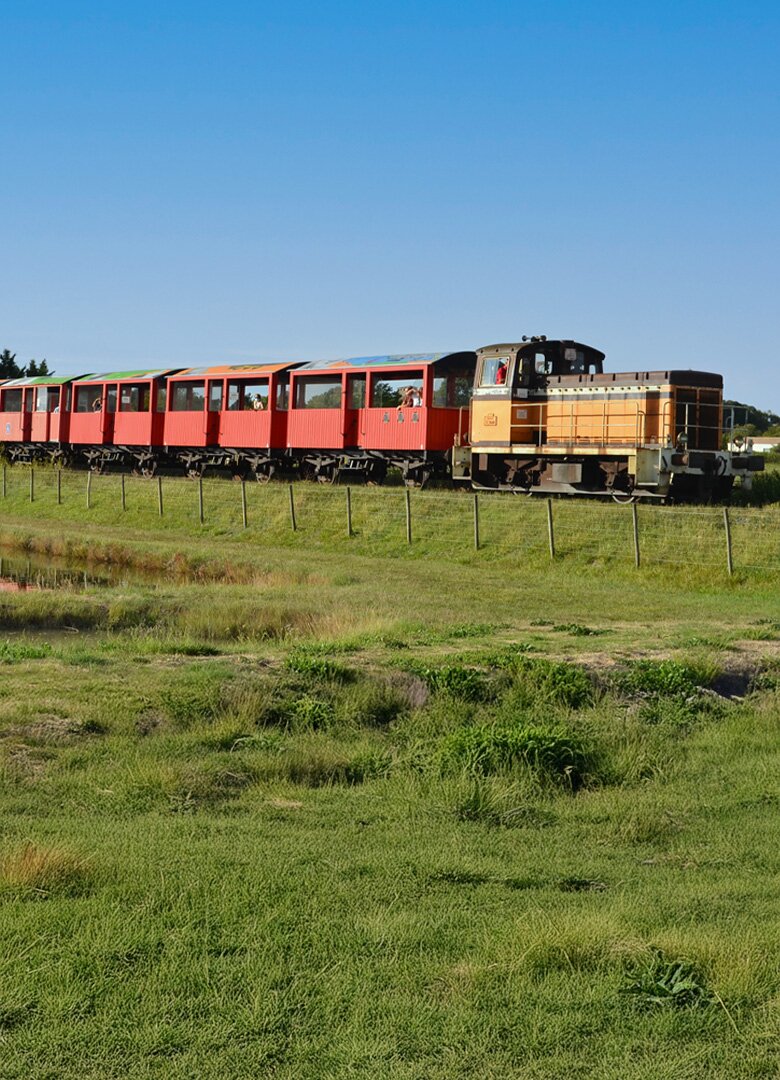 Le Train des Mouettes : une aventure à vapeur au cœur de la Charente-Maritime