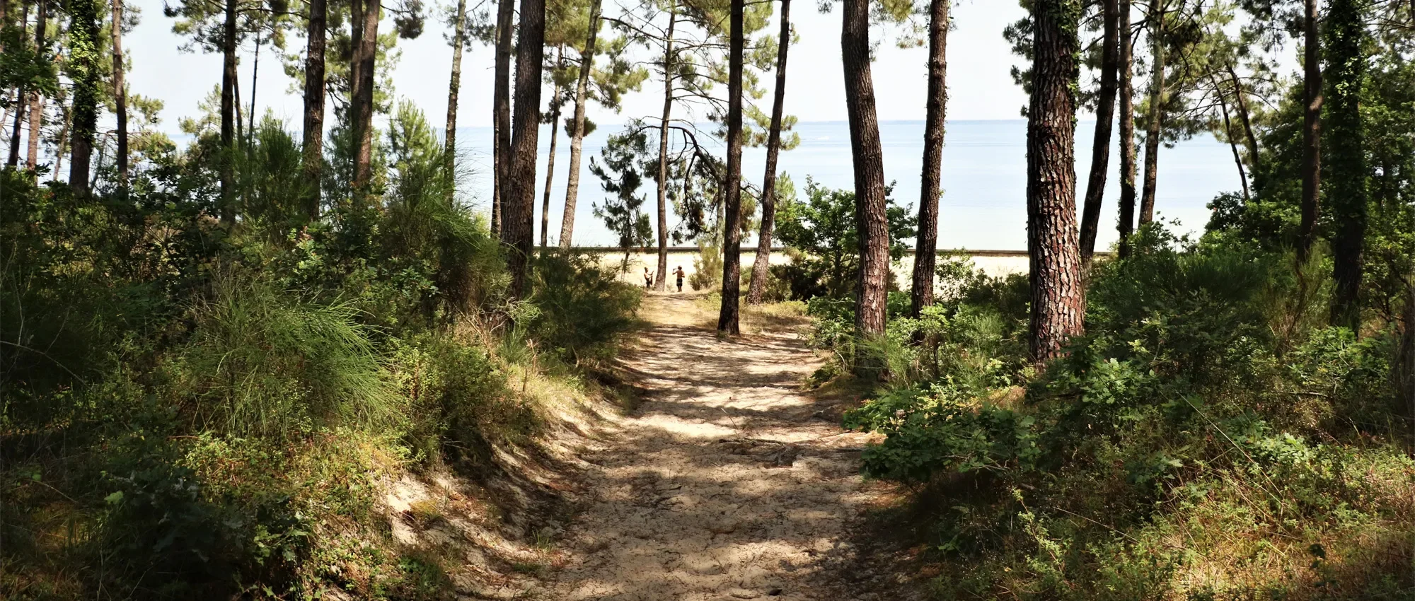 Que faire dans les Landes le temps d’un week-end ?