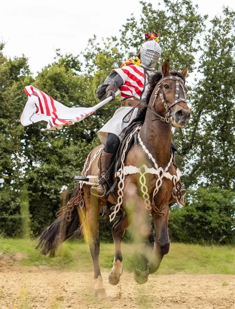 Chevalier lors d'un spectacle équestre au château de Talmont-Saint-Hilaire.