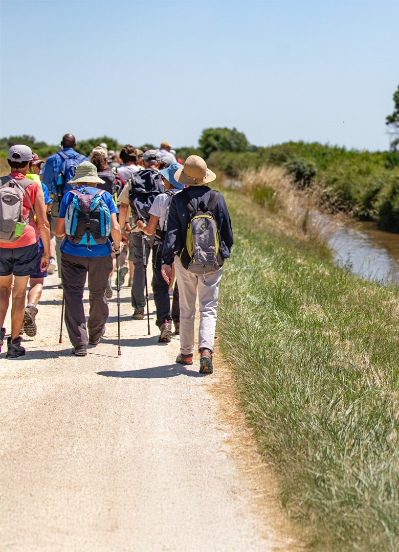 Sur quels critères choisir un circuit de randonnée en Gironde ?