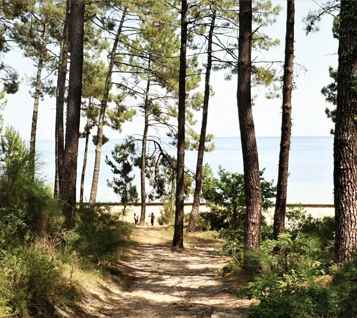 Que faire dans les Landes le temps d’un week-end ?