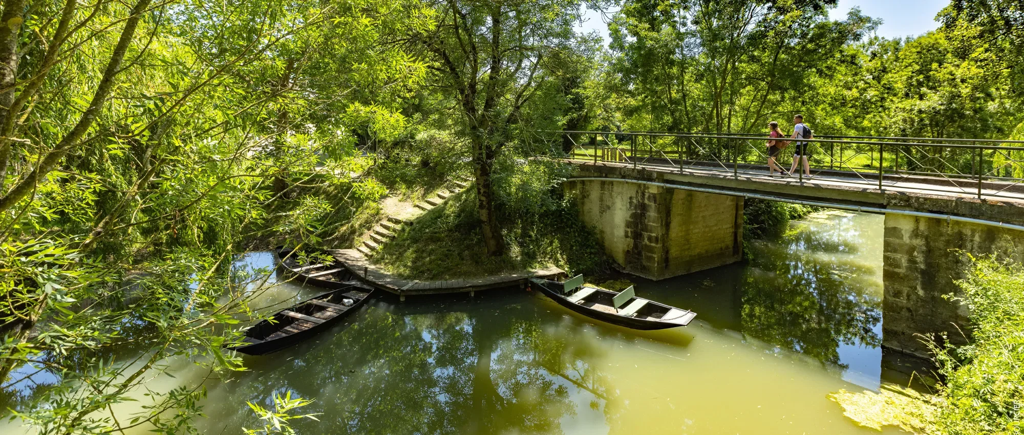 Balade au Marais poitevin : découverte de ce site aux multiples facettes