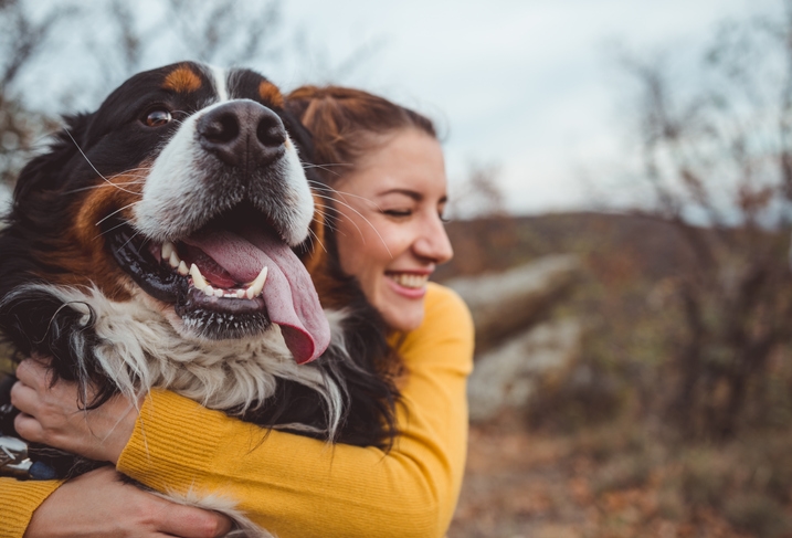 Cover Image for The Healing Power Of Our Four-Legged Friends