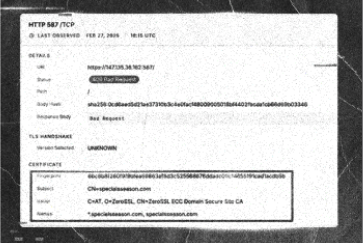 Brute Force or Something More? Ransomware Initial Access Brokers Exposed