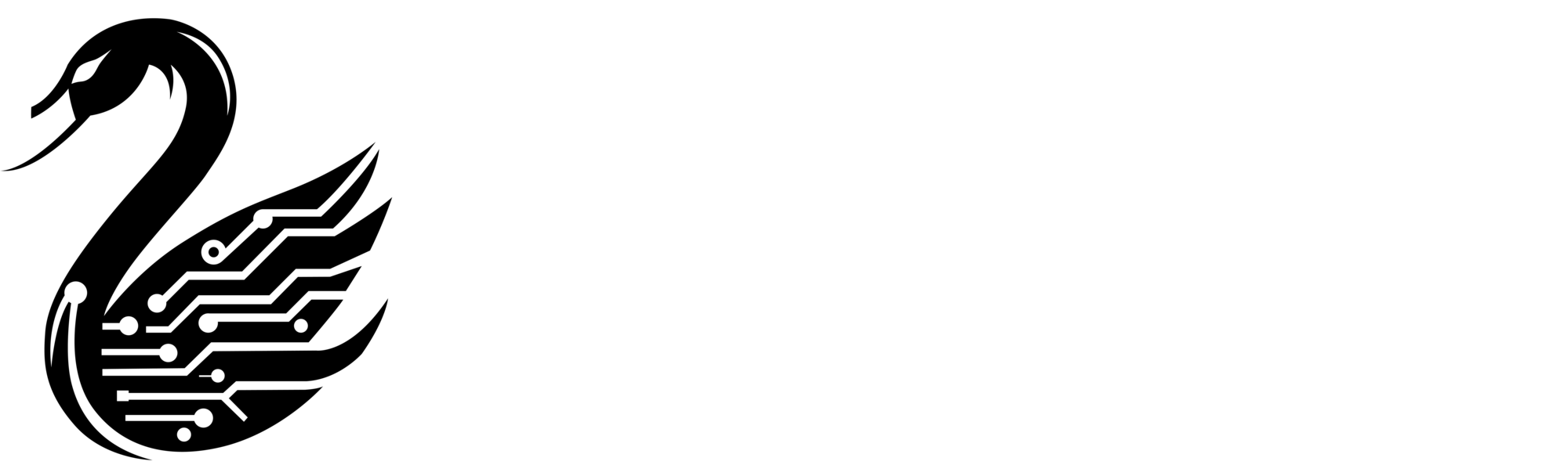 Basic Card Image