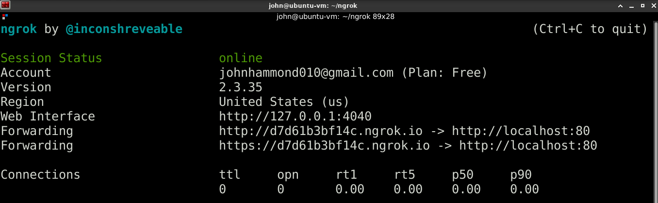 ngrok http 80