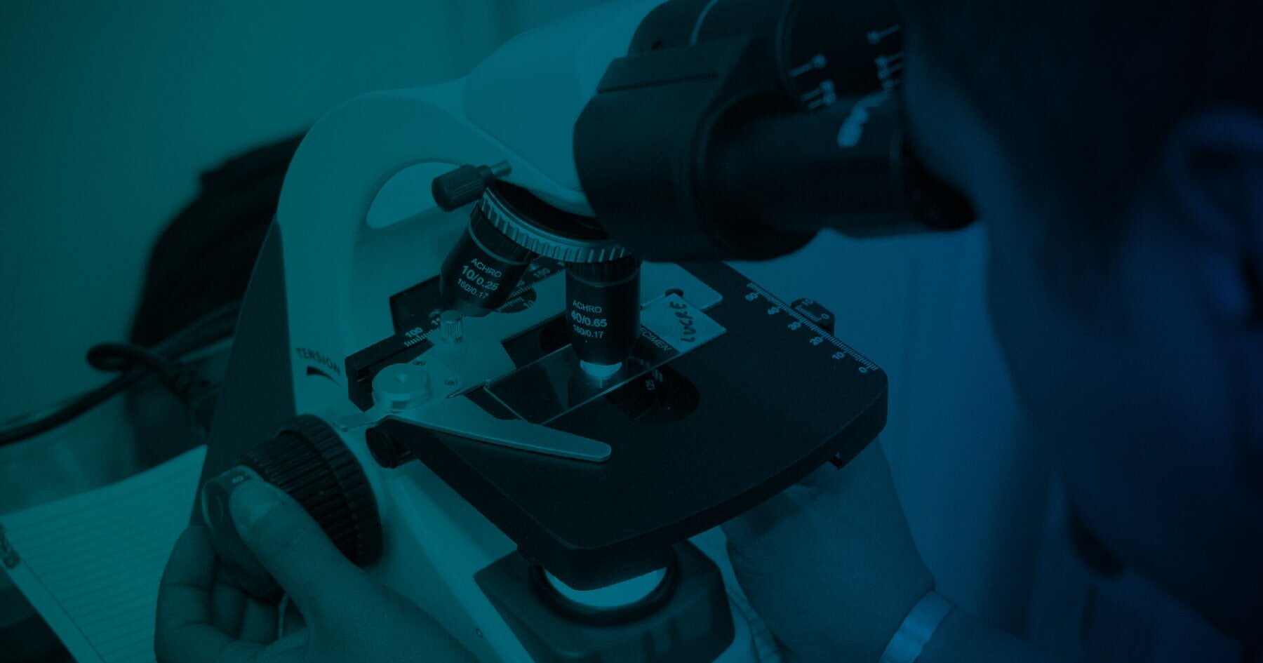Manual Malware Analysis: Step-by-Step Techniques & Tools for Threat Researchers
